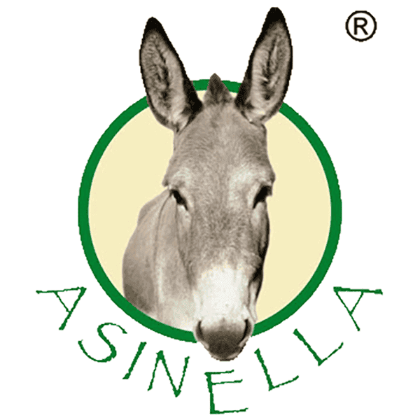 Asinella Esel