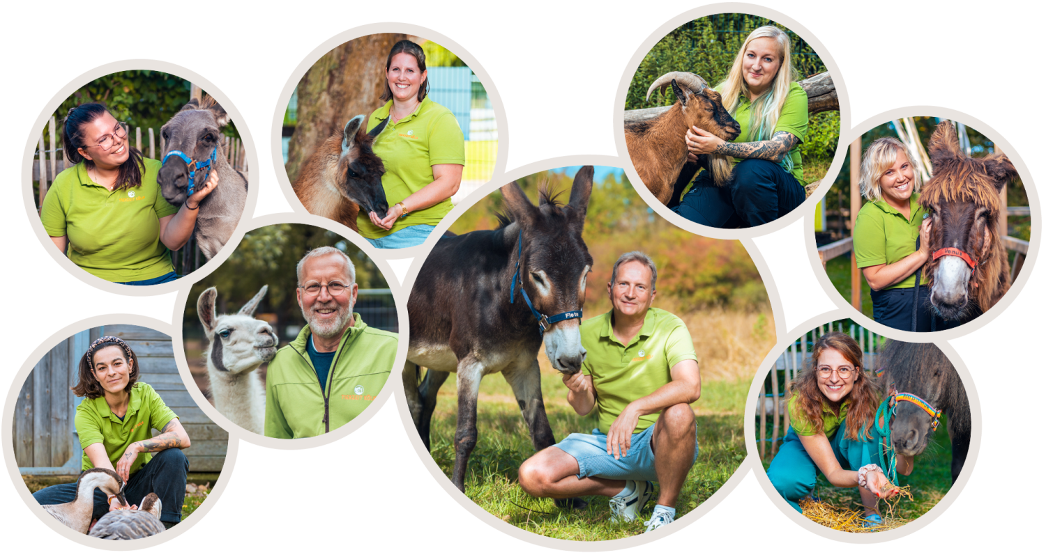 tierzeit-team-collage-v01-1500-x-800