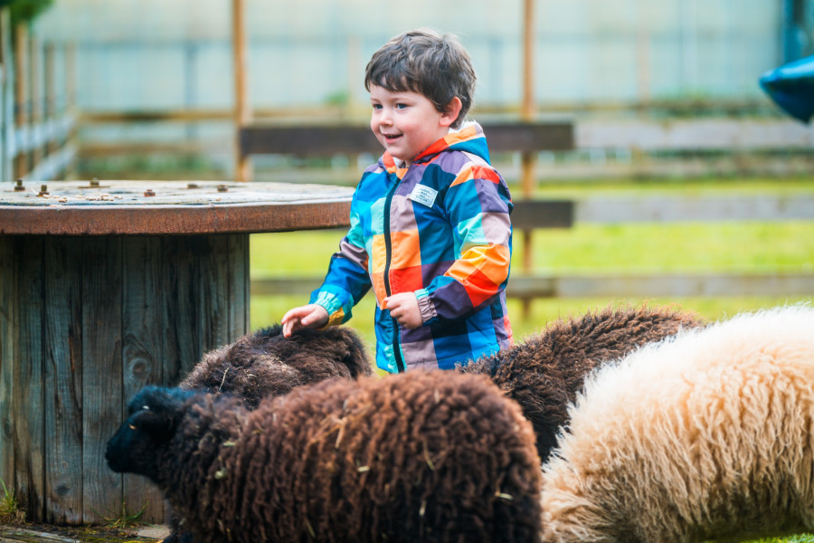 20241102_140436_0024-junge-mit-schafen