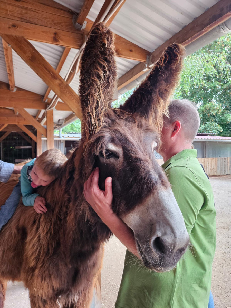 behindertes-kind-auf-esel